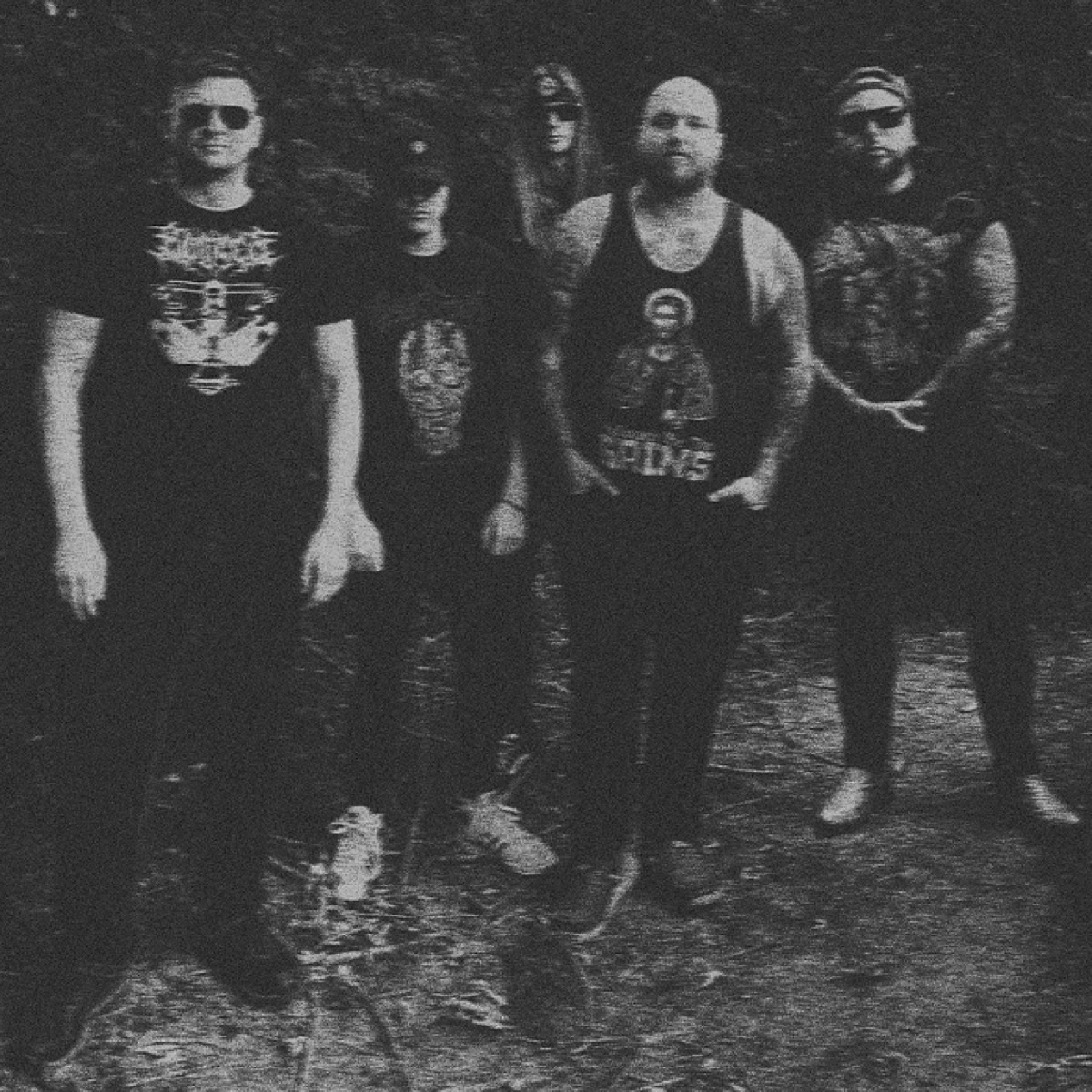 Of Serpents