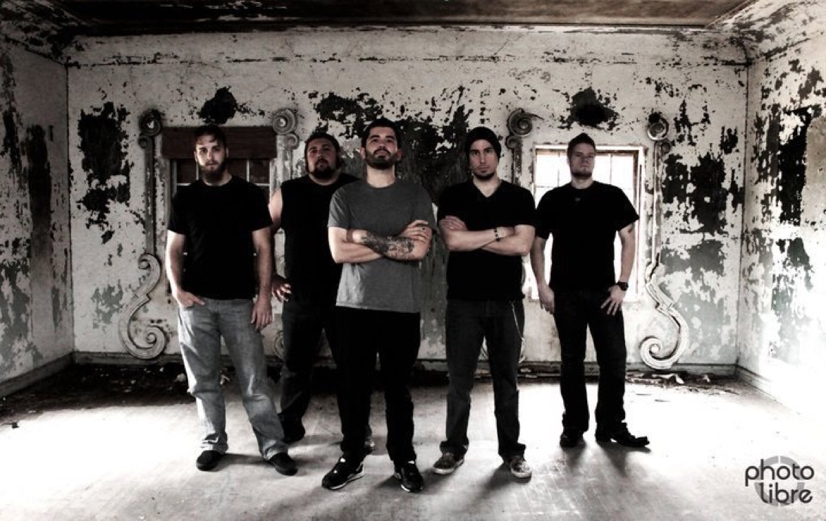 Decimation Theory